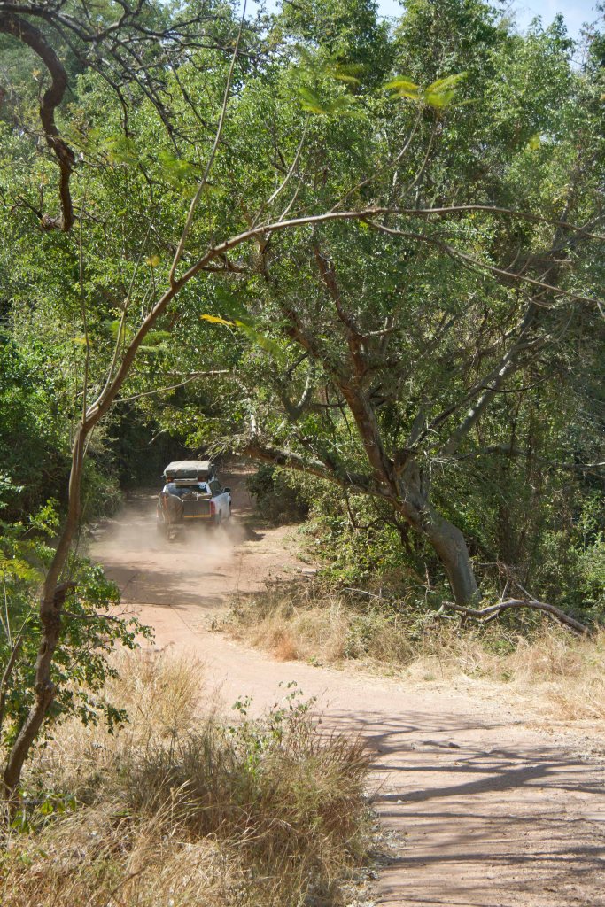 The scenic route through Matusadona National Park